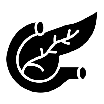 pancreas - παθησεις παγκρεατος